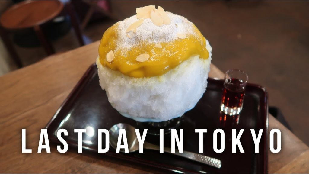 Last Day in Tokyo Japan Desserts & Hostel Tour - vlog #042 part 2