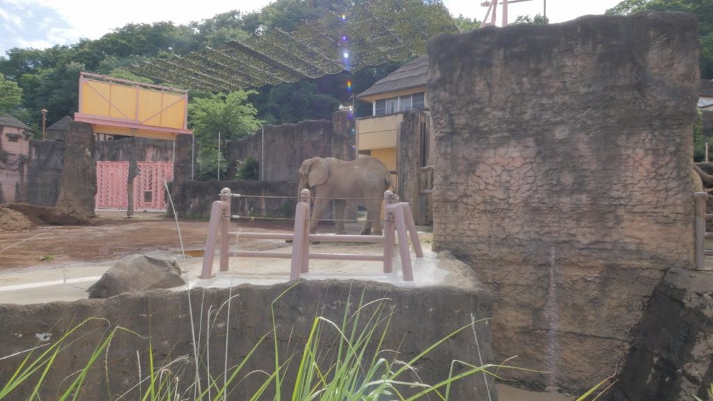 【4K】Videowalk in Tama zoo