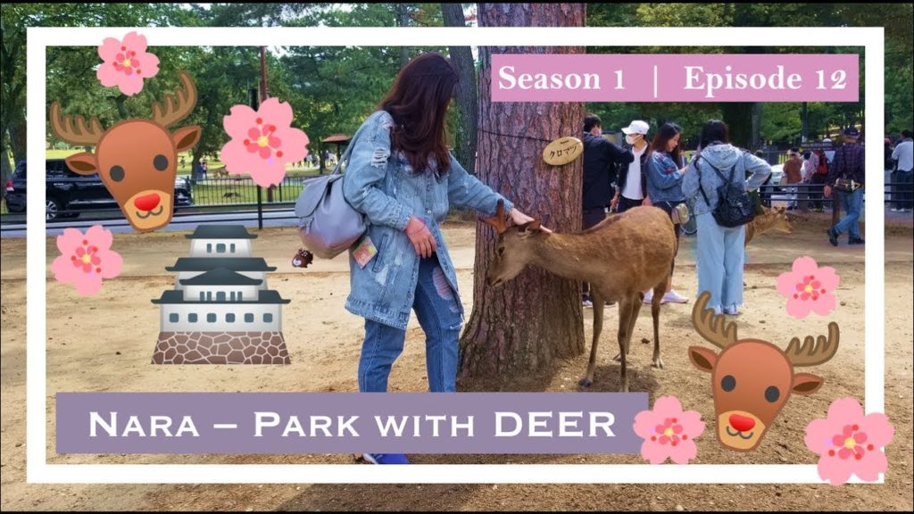 Tokyo Tales S1 E12: 🦌🌸Nara - The Deer Park🌸🦌