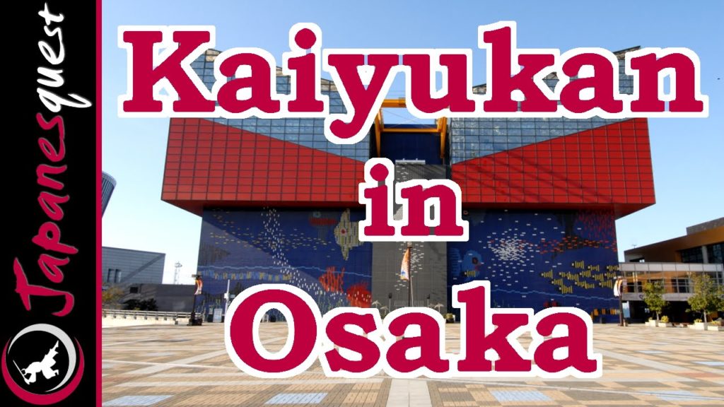 Osaka Aquarium Kaiyukan Tour! | Video Japan Guide
