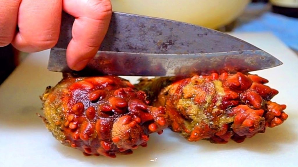 WEIRDEST SEAFOOD IN TOKYO, JAPAN!! Japanese Food You've NEVER Seen Before!