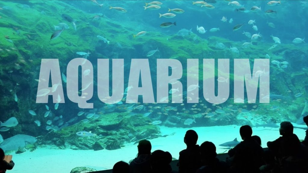 Saikai Park & 99 Islands Kujukushima Aquarium - Umi Kirara | Sasebo, Japan Vlog