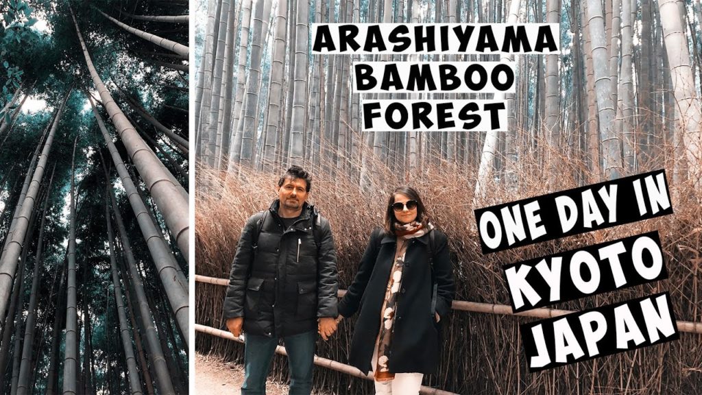 ONE DAY IN KYOTO I ARASHIYAMA BAMBOO FOREST I  KINKAKUJI THE GOLDEN TEMPLE I NISHIKYOKU KYOTOSHI ONE DAY IN KYOTO I ARASHIYAMA BAMBOO FOREST I  KINKAKUJI THE GOLDEN TEMPLE I NISHIKYOKU KYOTOSHI