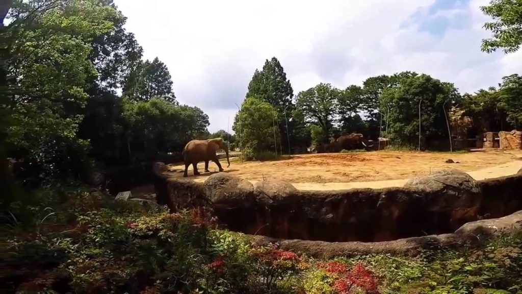 Sendai Yagiyama Zoological Park