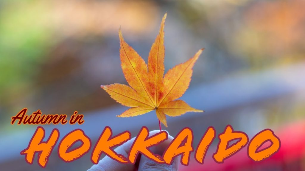 Video Preview : Autumn in Hokkaido
