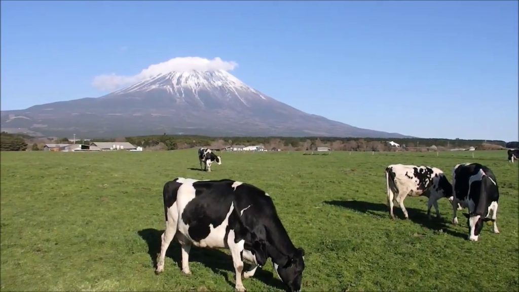 Asagiri highland in Shizuoka, Japan (Mt.Fuji)
