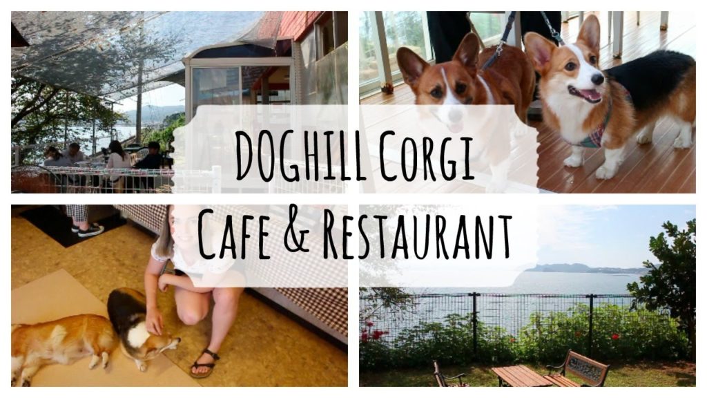 Dog Hill Corgi Cafe || CUTE JAPANESE CAFE || emilylouisemaitland ❤︎ Dog Hill Corgi Cafe || CUTE JAPANESE CAFE || emilylouisemaitland ❤︎