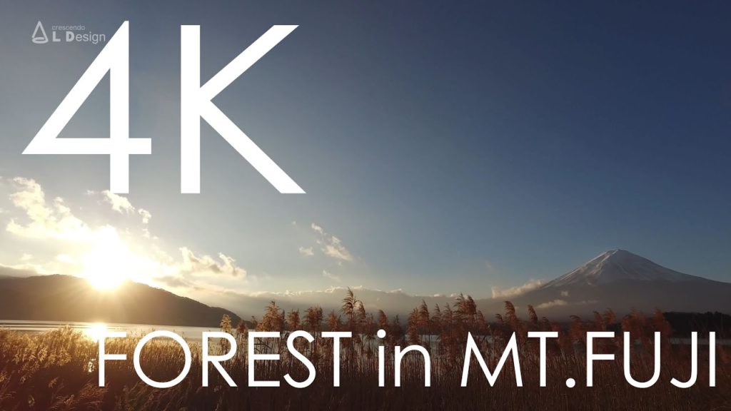 Mt.Fuji and Lake Kawaguchi / 富士山と河口湖 日産サファリ [4K]