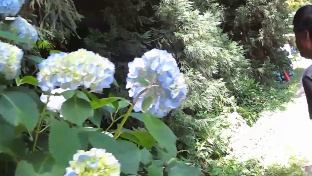 Walking in Nagoya, Japan  -  2