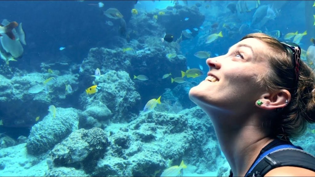 Falling Down at Okinawa Churaumi Aquarium!