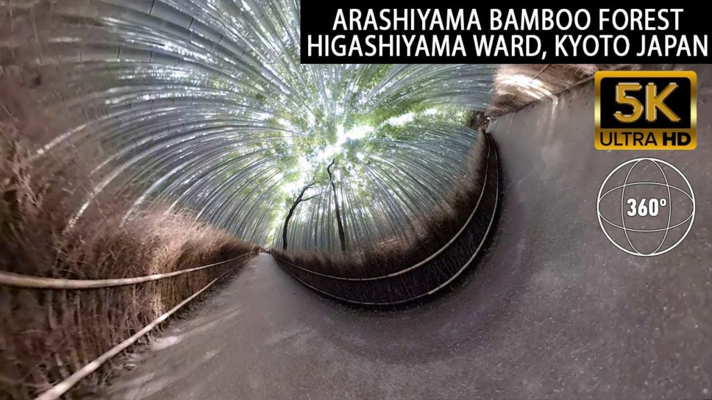 Vr360 5K - Arashiyama Bamboo Forest Travel Tour - Kyoto Japan - GoPro Fusion Max