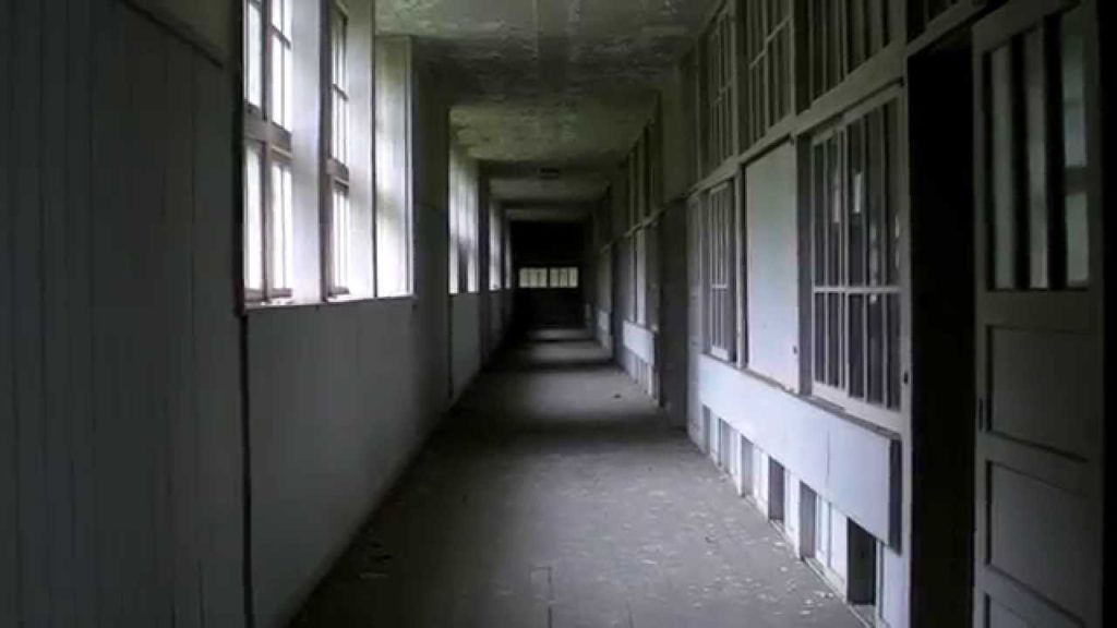 The White School The White School