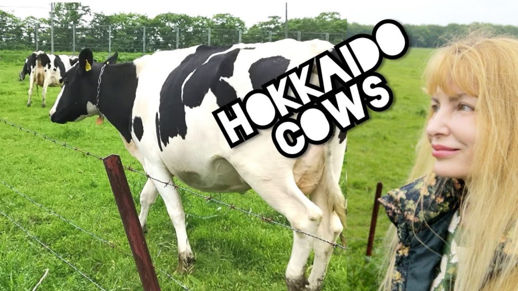 Adeyto 🐄 HOKKAIDO 🐮 COWS Best DAIRY Organic FARMS of JAPAN 📽️ HUAWEI P20 PRO