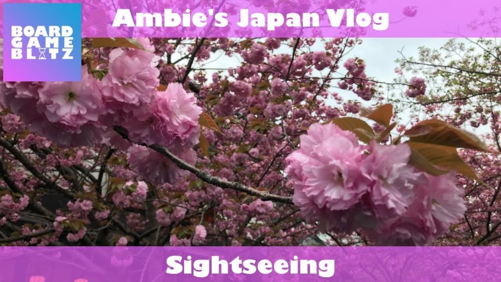 Ambie's Japan Vlog: Sightseeing