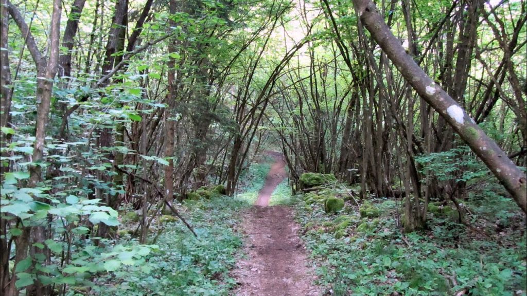 MTB Torbole - S. Barbara sentiero Naranch