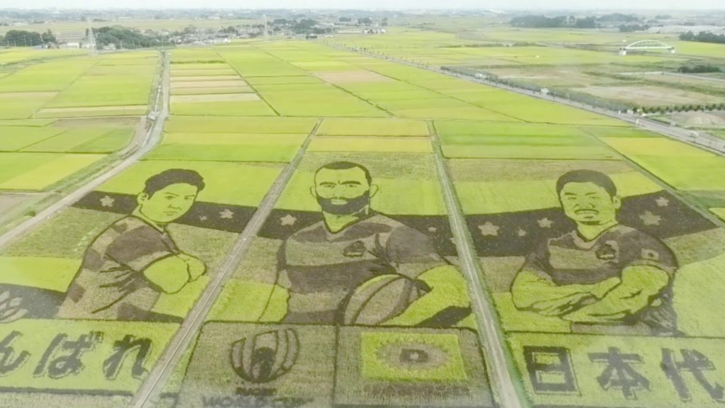 Rugby World Cup 2019 Japanese Rice Paddy Art in Gyoda Rugby World Cup 2019 Japanese Rice Paddy Art in Gyoda
