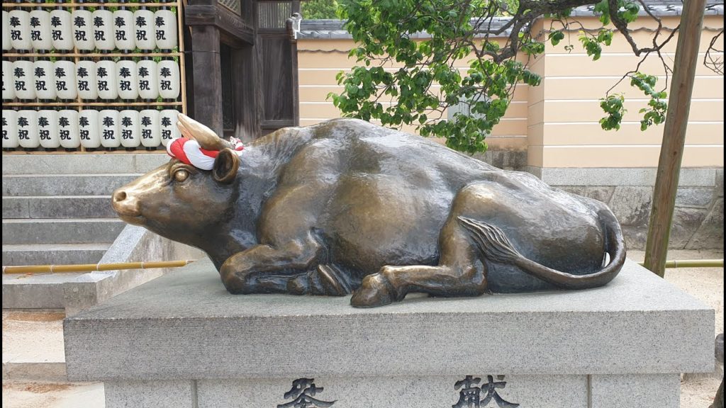 Fukuoka Dazaifu travel & Canal city fountain show 2019 .다자이후 가는길&캐널시티 고질라 분수쇼