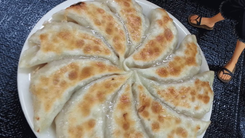 One Japan #41 Round Dumplings in Fukushima 日本全国電車でゴー！福島の円盤餃子