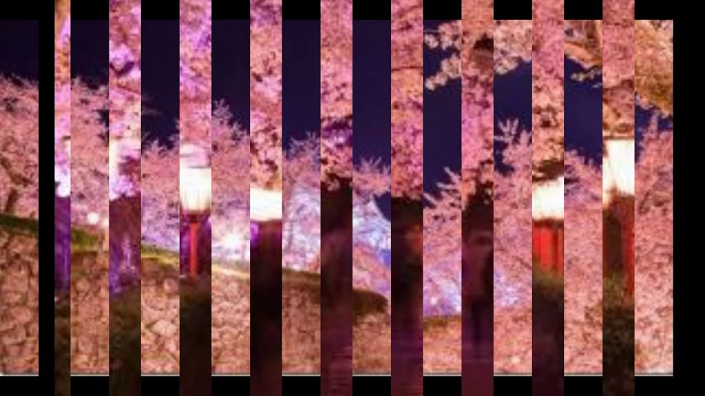 #Sakura #JapanOkayama #JapanTravel 岡山 桜