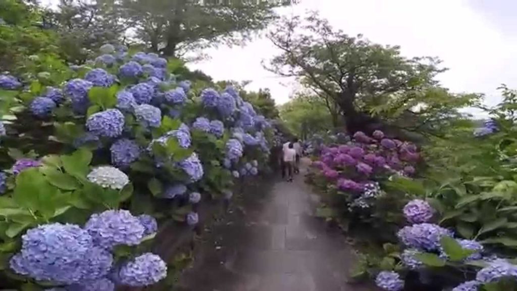 A short trip in Shimoda City