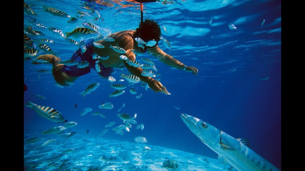 Snorkeling in Okinawa