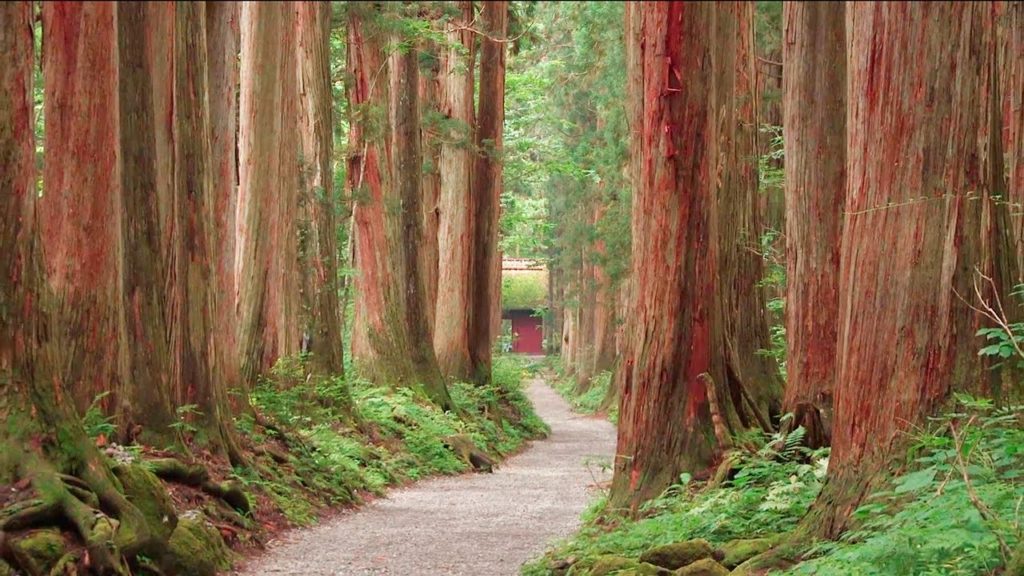戸隠神社奥社〜日本のひふみ道 長野県戸隠〜The Togakushi Shrine