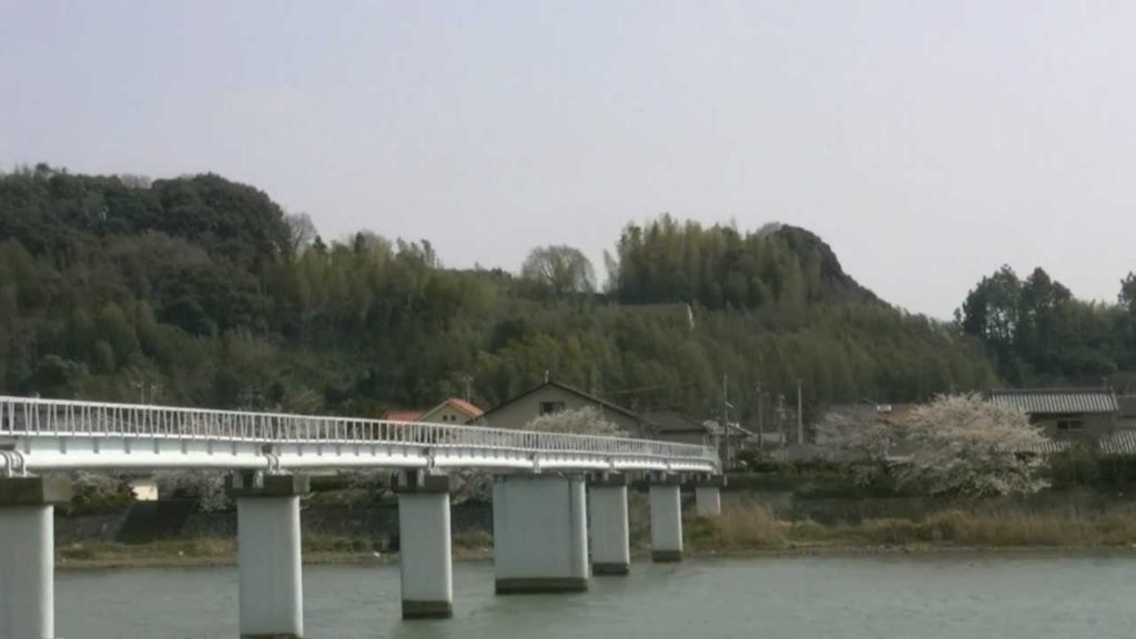 アキーラさん！浜松・都田川沿いの桜,Sakura arong Miyakoda-river,Hamamatsu,Japan
