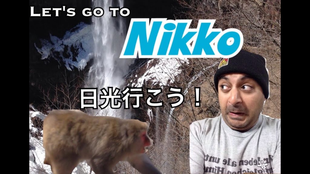 Japanese Monkey Wars and Waterfalls 日光行こう！