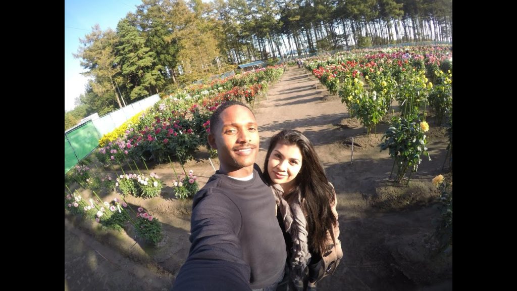 Japanese Garden | Aomori Japan '15