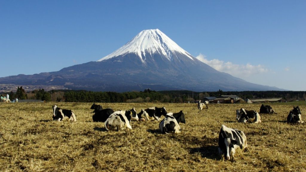 5 Volcanoes in Japan