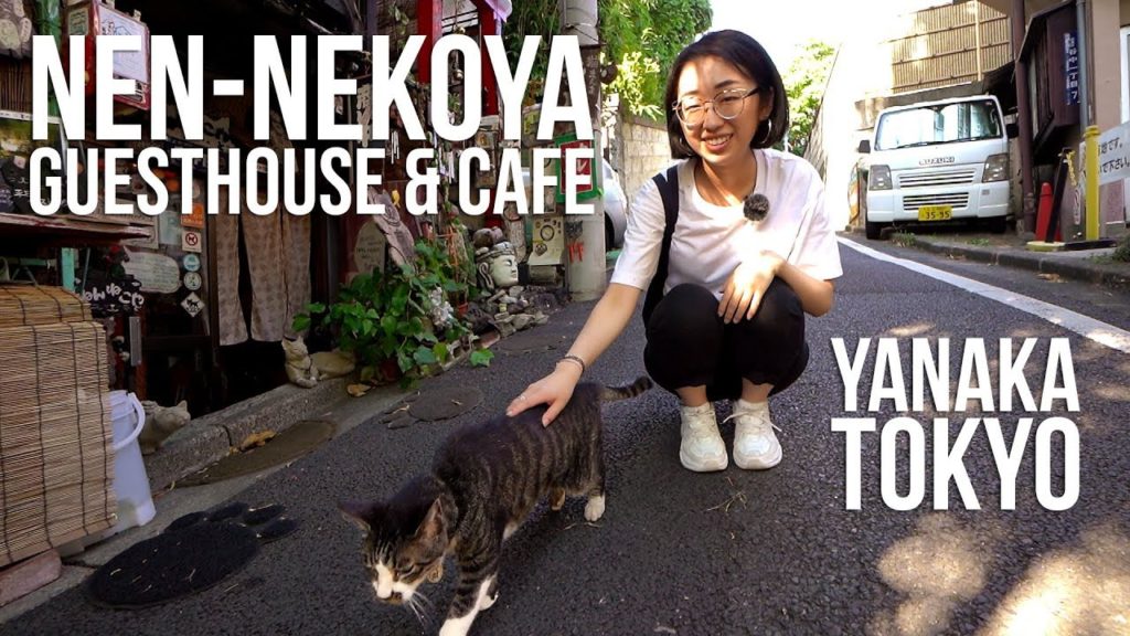 nen-nekoya: A place cats can call home (Tokyo, Japan)