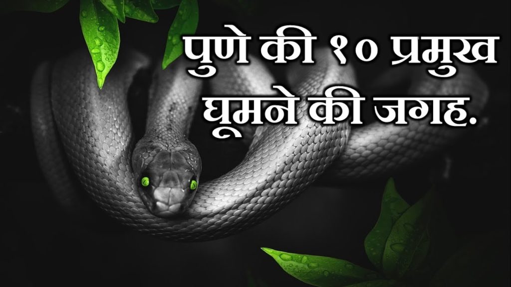 पुणे के १० प्रमुख घूमने की जगह पुणे महाराष्ट्र Top 10 Tourist places to visit/do in Pune पुणे के १० प्रमुख घूमने की जगह पुणे महाराष्ट्र Top 10 Tourist places to visit/do in Pune