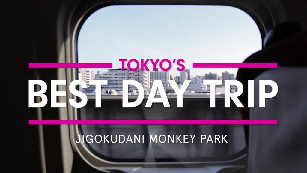 Tokyo's Best Day Trip - Jigokudani Monkey Park