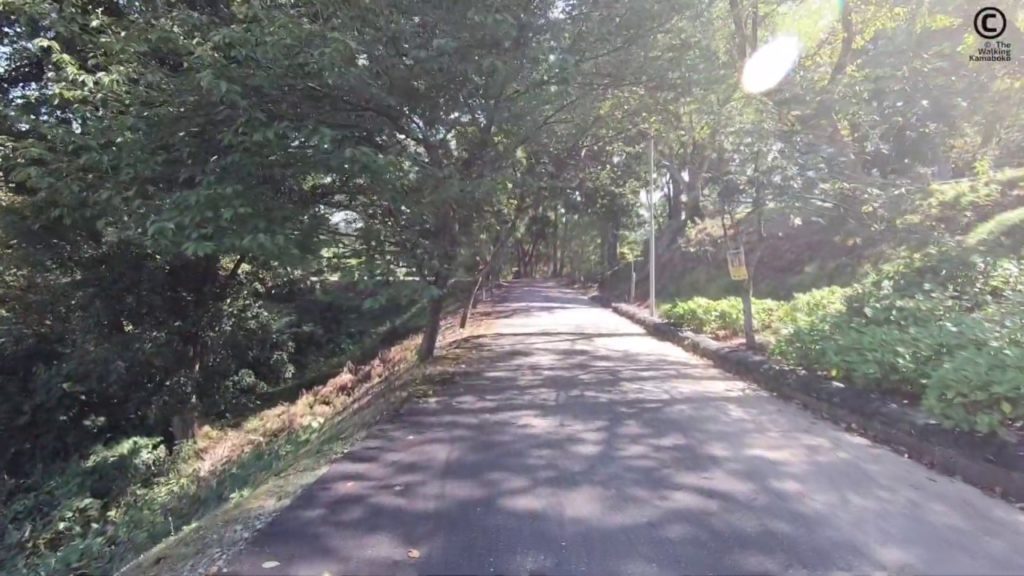 Rural Japan On A Perfect Day