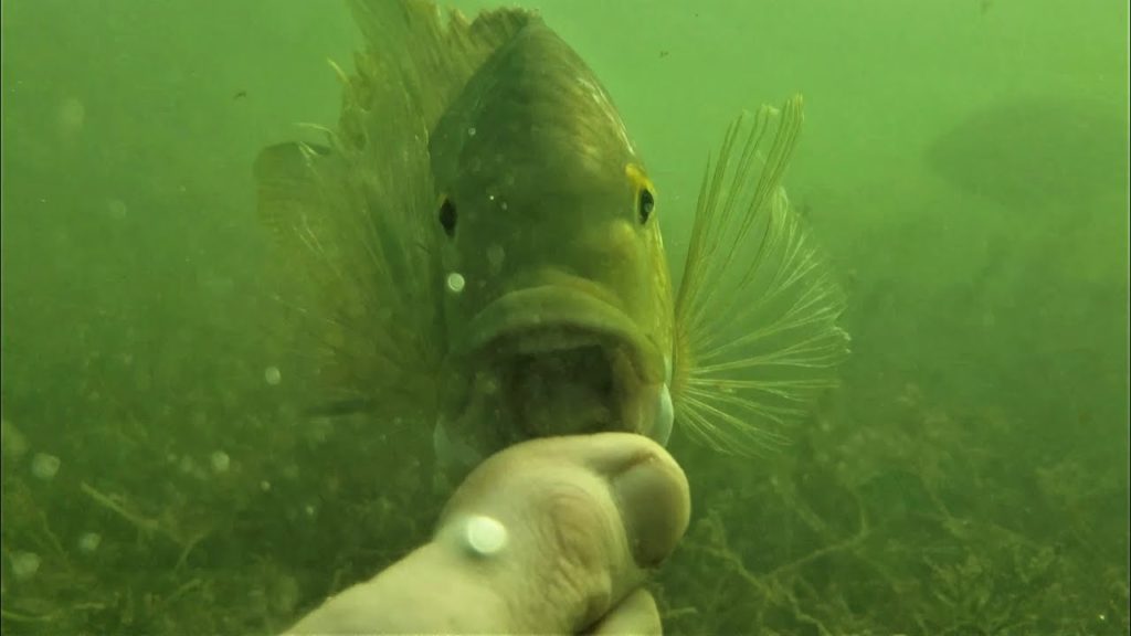 Little Green Mother****er!