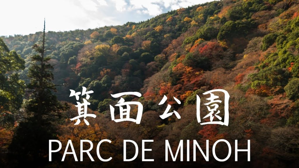 Randonnée au Parc de Minoh (箕面公園)