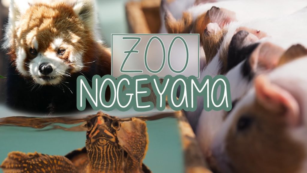 Zoo Nogeyama | Yokohama