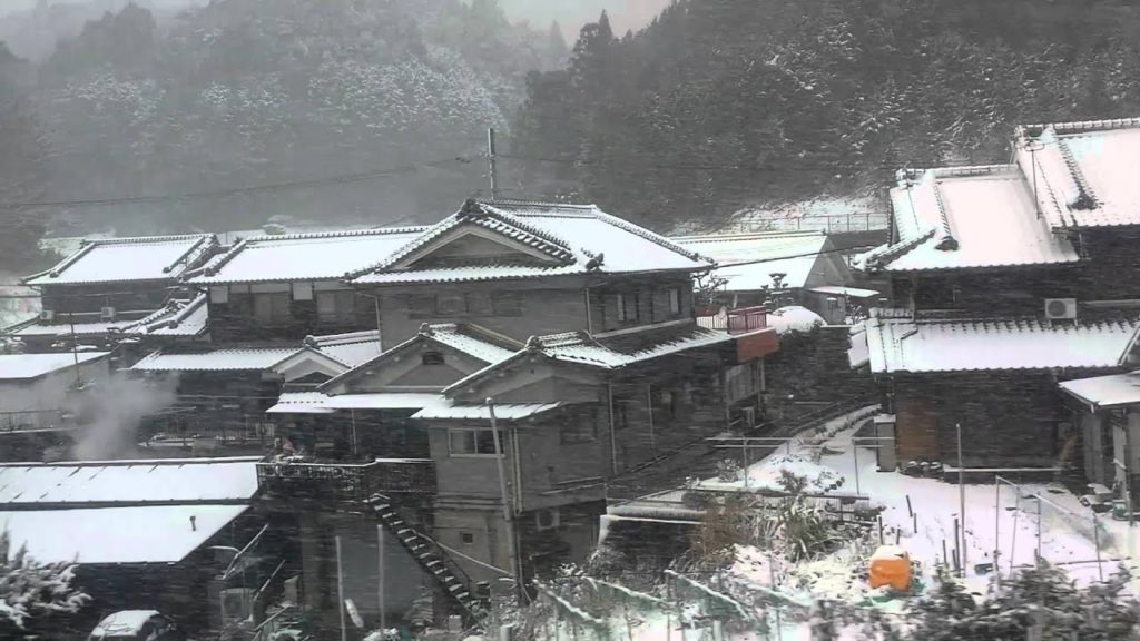 Winter Train Ride in Rural Japan