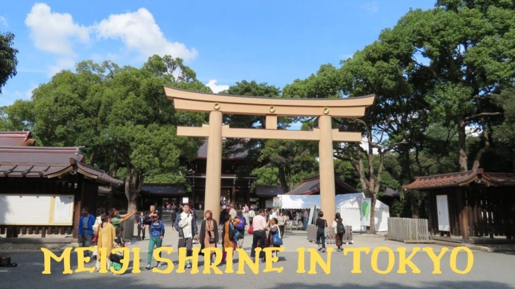 1 Week in Tokyo: Meiji Shrine, Takeshita Street & Shibuya