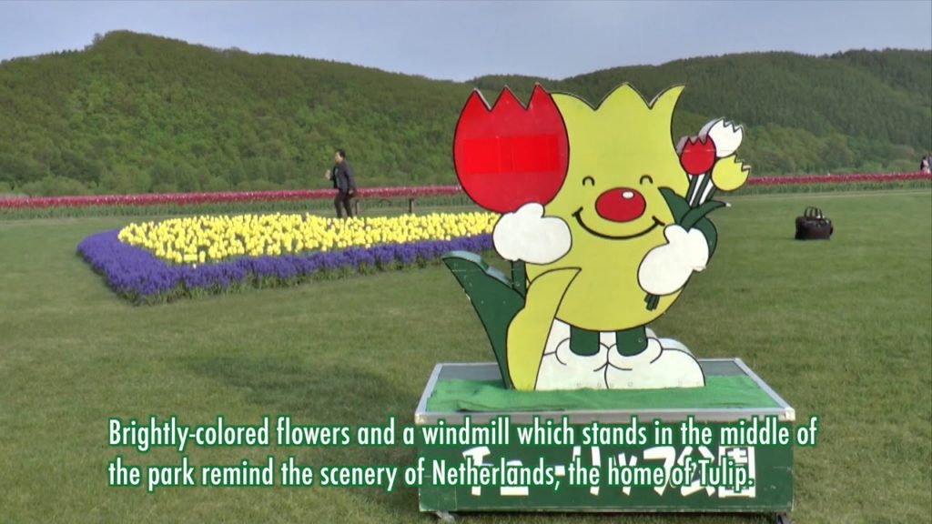 YOKOSO Japan Tour -- Kamiyubetsu Tulip Park (上湧別 鬱金香) --E30