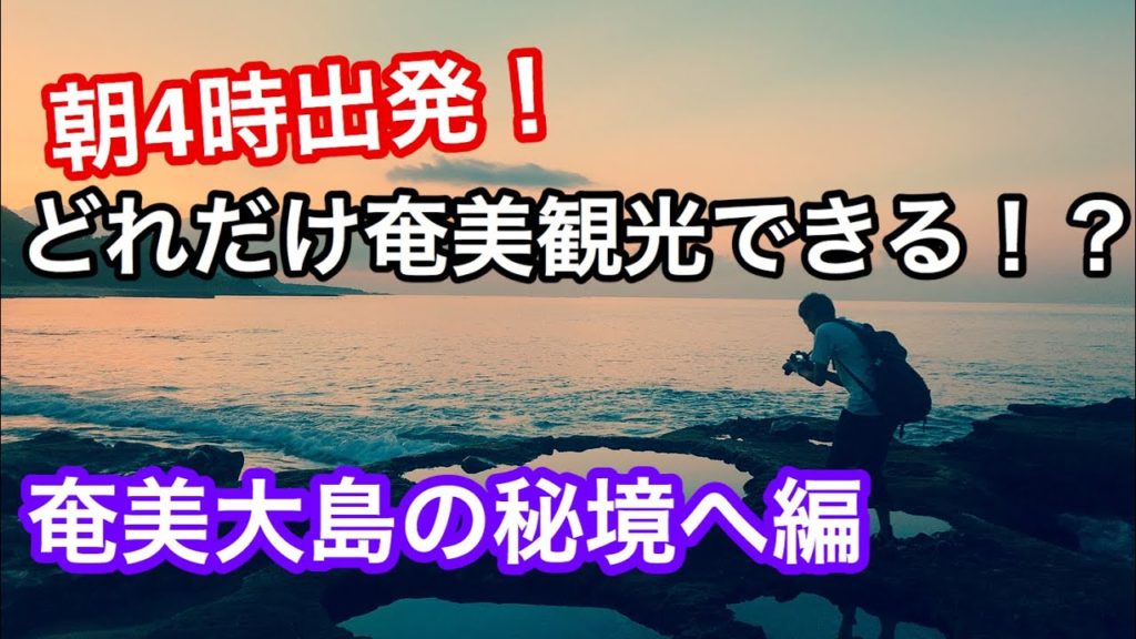 【奄美大島】1日で動き回る奄美観光　絶景ハートロック＆奄美のお土産購入紹介も！