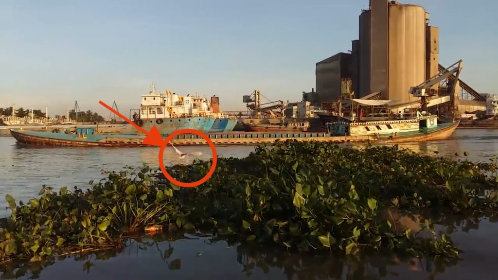 Narayanganj Bondor tour , Narayanganj District, Dhaka, Banglaadesh