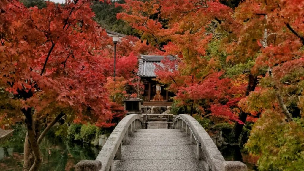 AUTUMN IN KYOTO EIKANDO TEMPLE – JAPAN AUTUMN TRIP 2018 DAY 5 (PART 2) AUTUMN IN KYOTO EIKANDO TEMPLE - JAPAN AUTUMN TRIP 2018 DAY 5 (PART 2)