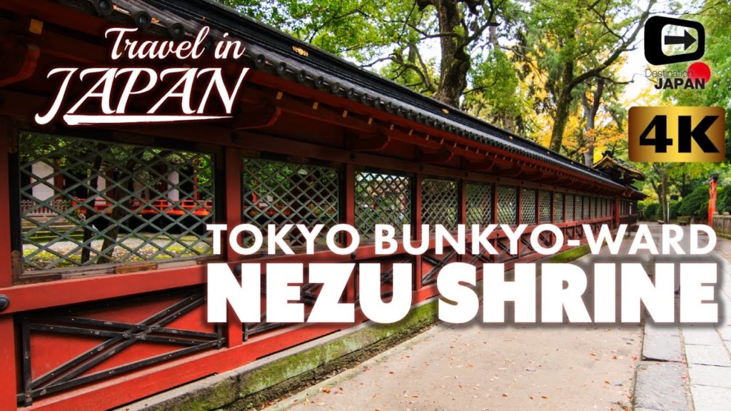 4K Travel in Japan | Nezu Shrine | One of Tokyo's oldest shrines | Tokyo Nezu | 根津神社・東京 4K Travel in Japan | Nezu Shrine | One of Tokyo's oldest shrines | Tokyo Nezu | 根津神社・東京