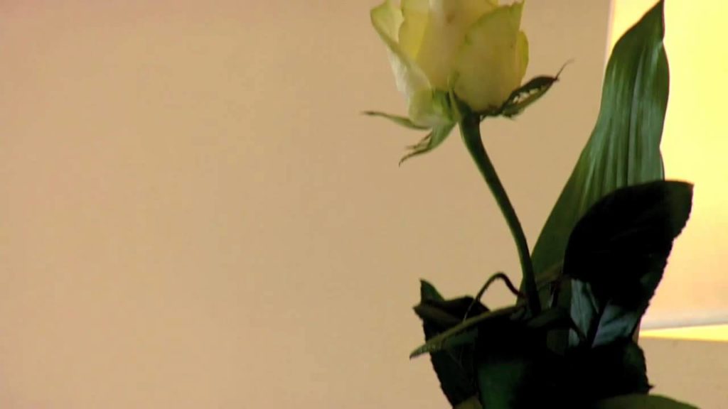 Lake Garda Hotel - Villa Rosa Hotel