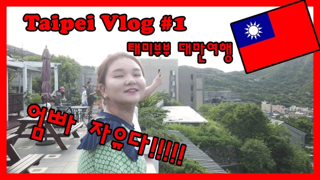 타이페이 Vlog #1 대만 브이로그 대만여행 (#출발#타이페이메인역#팀호완#타이거슈가) 태미랑무배랑