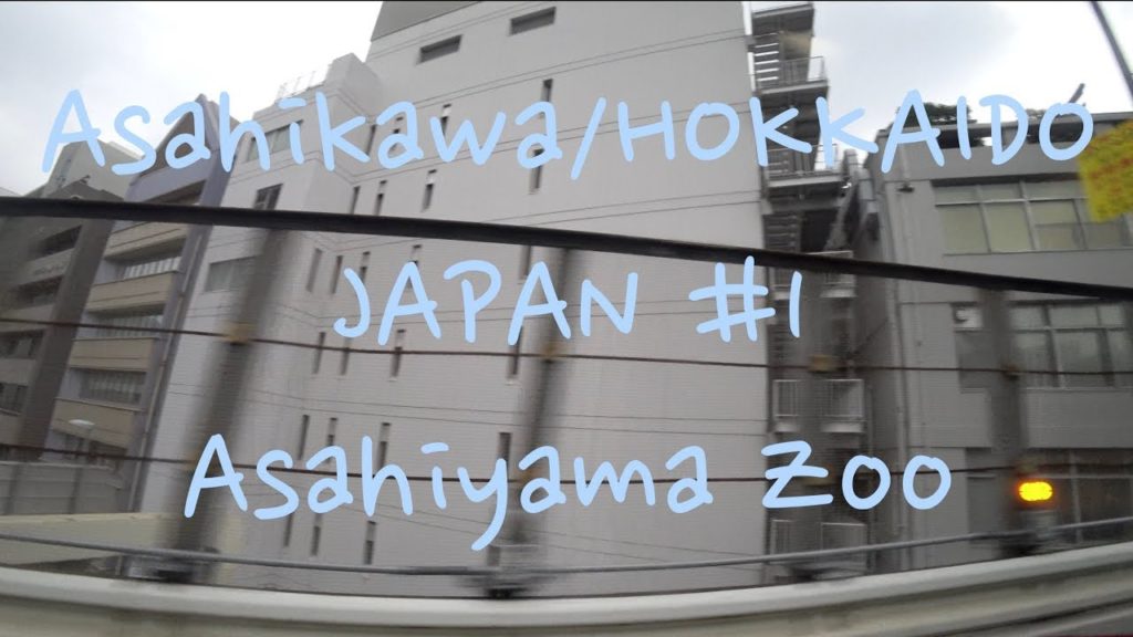 Asahiyama Zoo. Summer trip to Asahikawa, Hokkaido.