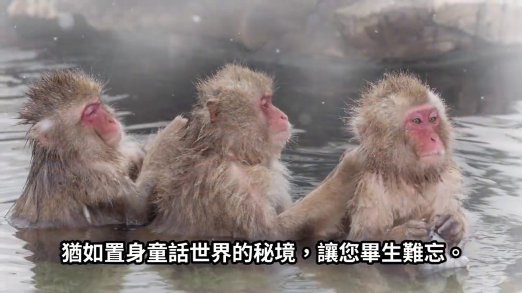 日本Local Tour YOKOSO Japan Tour Video Long Version