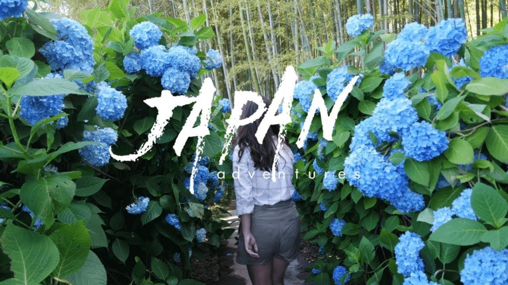 in japan // tokyo · hydrangeas in akita · ano hana 🌸(pt. 1)