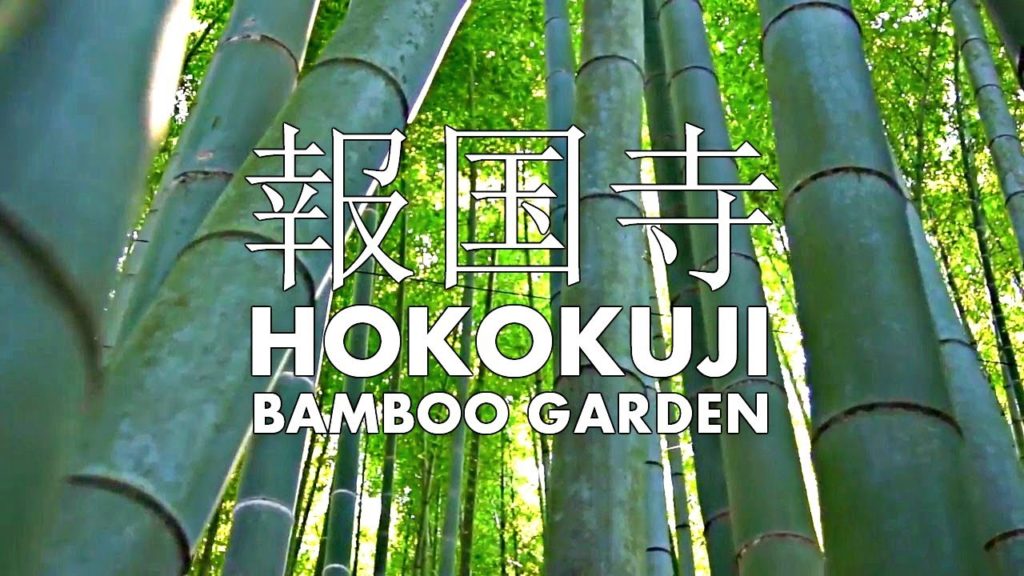 Hokokuji Bamboo Garden - Kamakura, Japan ᴴᴰ ● 報国寺 鎌倉